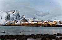 Noorwegen, Sakrisøya par Conny  van Kordelaar Aperçu