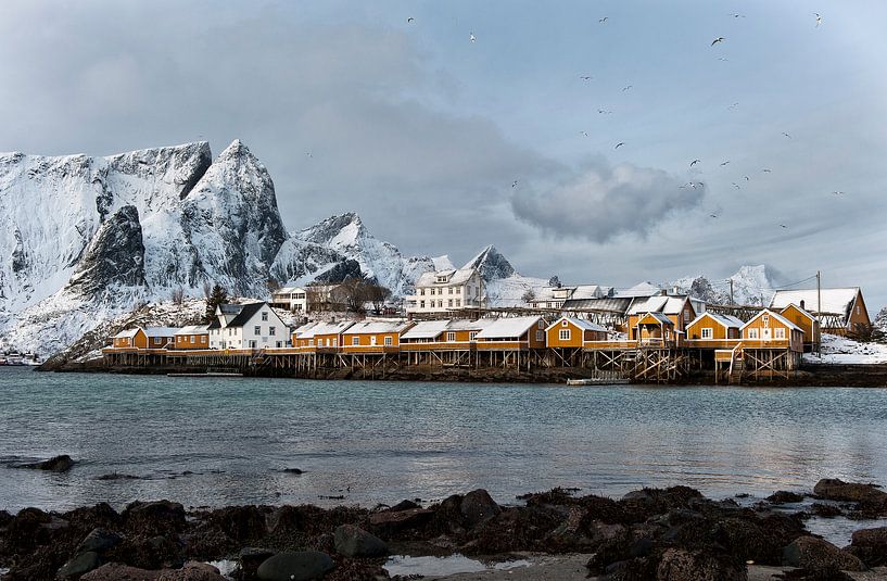 Noorwegen, Sakrisøya par Conny  van Kordelaar