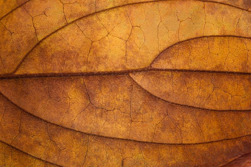 Cracks by The Art Of Vili