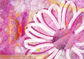 Een grote witte madelief met gestructureerde bloemblaadjes springt uit tegen een levendige magenta en roze abstracte achtergrond, geaccentueerd door gouden contouren en subtiele barsten. Dit gedurfde bloemenkunstwerk combineert organische delicatesse met energieke kleurengolven voor een opvallende moderne uitstraling.