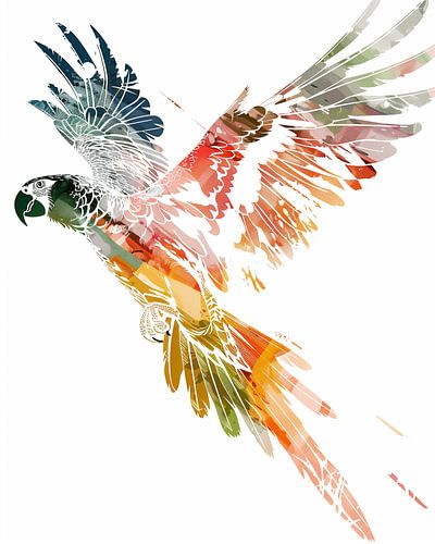 Le vol libre du perroquet coloré