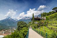 MERANO Tappeiner Trail