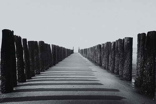 Palenrij op het strand van Zouteland Zeeland (zwart-wit, oude stijl)