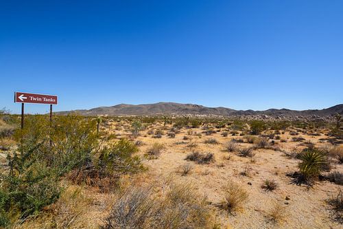 Parc national de Joshua Tree