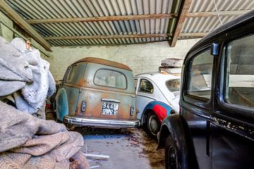 Die Oldtimer. von Natasha  van Wijngaarden