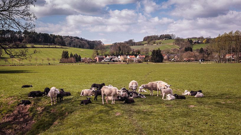 Lente in Stokhem van Rob Boon