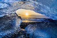 Caught in ice