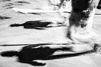 wadlopen abstract