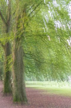 arbres abstraits partie 4 sur Tania Perneel