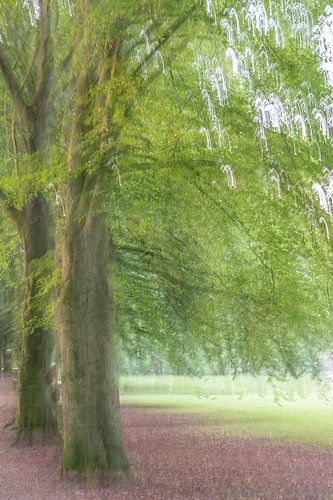 abstracte bomen part 4