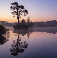Gorgeous sunrise in Oisterwijk