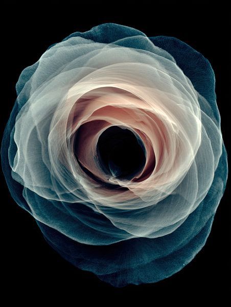 Floraison hypnotique par Franka Poulain