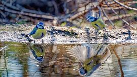 Immer mit der Ruhe, Mann von JW Image Solutions