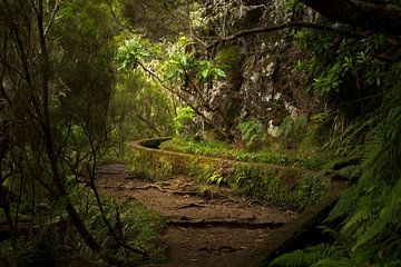 Levada walks on the Madeira flower island