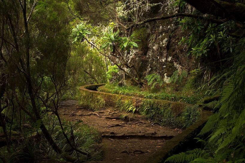 Levada walks on the Madeira flower island by Paul Wendels