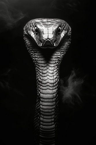 Cobra