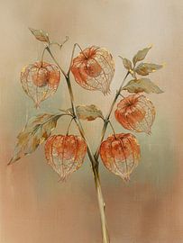 Verträumtes Herbstbild einer Lampionpflanze (Physalis)