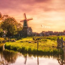 Mill with sunset and sheep at Zaanse Schans near Zaandam by Bart Ros