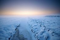 Winters Sneeuwlandschap in Zoeterwoude van Martijn van der Nat thumbnail