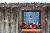 Weihnachtlich geschmücktes Fenster im Winter van Rico Ködder thumbnail