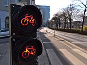 Red traffic light for cyclists, Vienna by Timon Schneider thumbnail