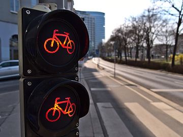 Red traffic light for cyclists, Vienna by Timon Schneider