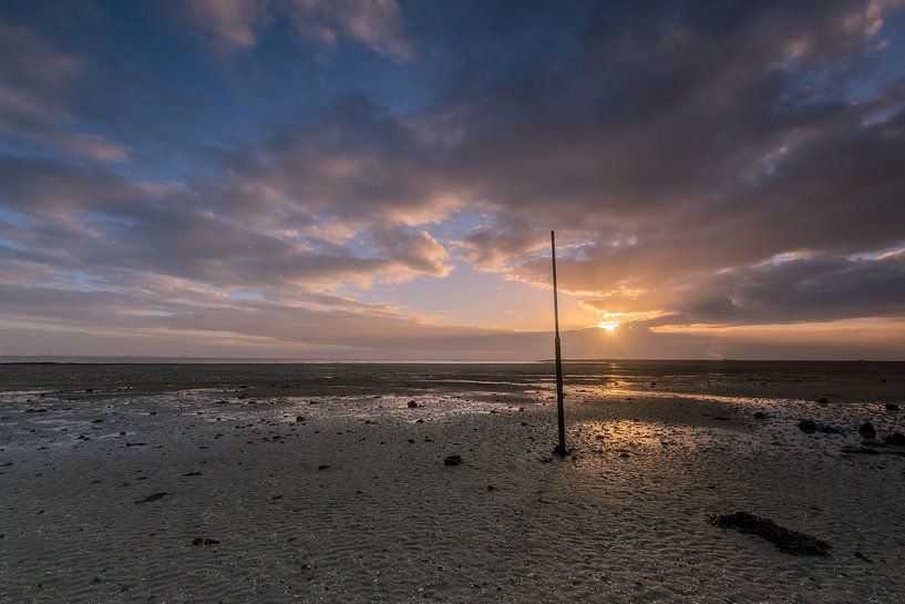 Golden Oostenschelde van Jan Koppelaar