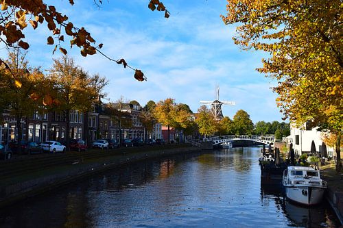 Zicht op kanaal in Dokkum met molen op de achtergrond.