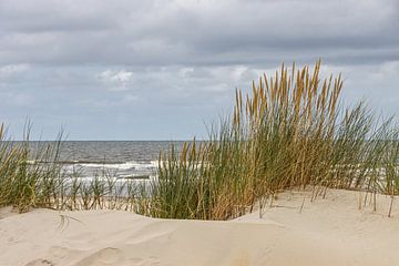 Blick auf das Meer von Paul Veen
