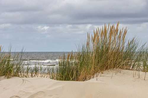 Vue sur la mer