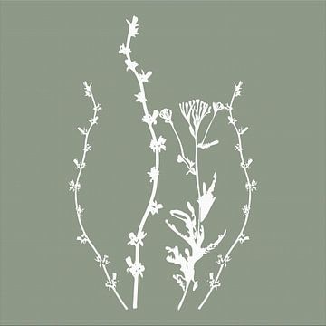 Botanica Delicata. Abstracte Retro Botanical in rustgevend mosgroen van Dina Dankers