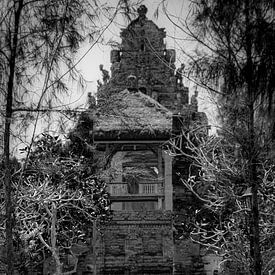 Sri Lanka Natur von Dirk Lahuis