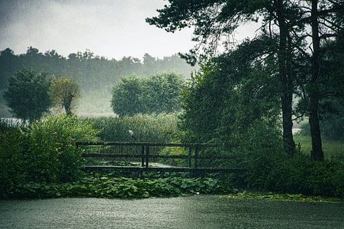 Une pluie rafraîchissante dans la nature sur Geert Van Baelen