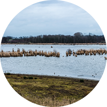 brown wetlands around Zoutleeuw van Werner Lerooy