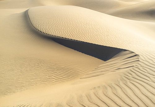 Abstract art in the dunes at Sandwich Harbour (Namibia)