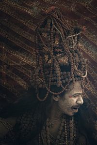Profiel Guru