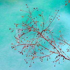 Rode bessen in de Emerald Rivier (China) by Paul Roholl