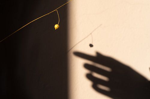 Shadow play on the wall.