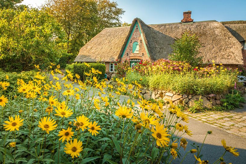 Friesenhaus mit Bauerngarten in Keitum, Sylt von Christian Müringer