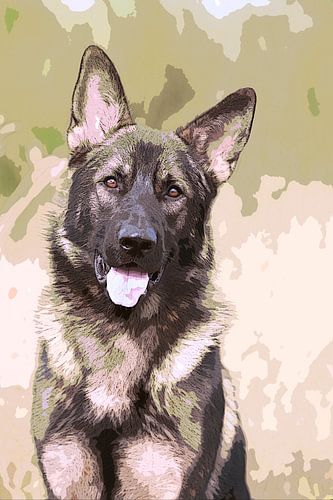 Junger deutscher Schäferhund in Militärfarben