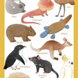 Dieren van Australië van Judith Loske