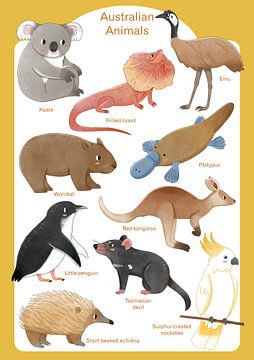 Animaux d'Australie sur Judith Loske