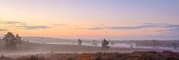 Brouillard matinal à Zonhoven par Johan Vanbockryck Aperçu