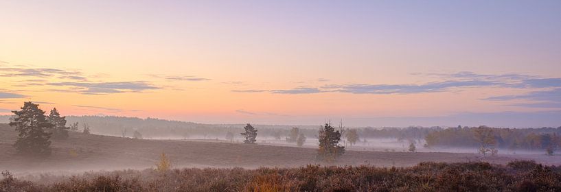 Morning fog in Zonhoven by Johan Vanbockryck