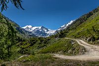 Bergweg mit schneebedeckten Gipfeln im Hintergrund im Turtmanntal.