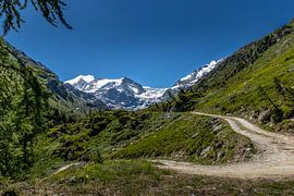 Mountain path with snowy peaks in the background in the Turtmanntal. by Ad Van Koppen Fotografie