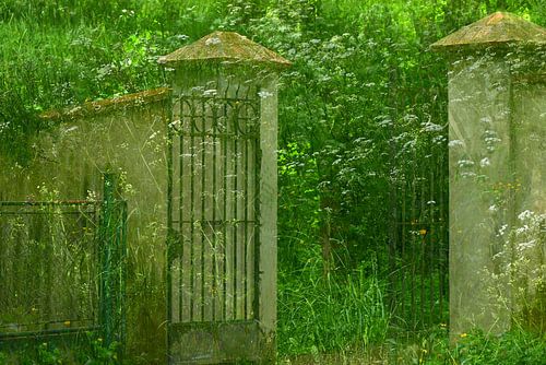 LE JARDIN MAGIQUE 2