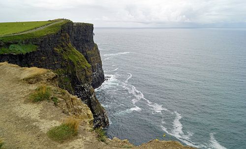 Cliff's of Moher - Ierland