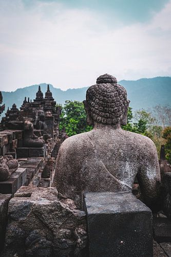 The Lonely Buddha