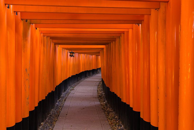 Fushimi Inari von Schram Fotografie